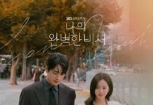 나의 완벽한 비서